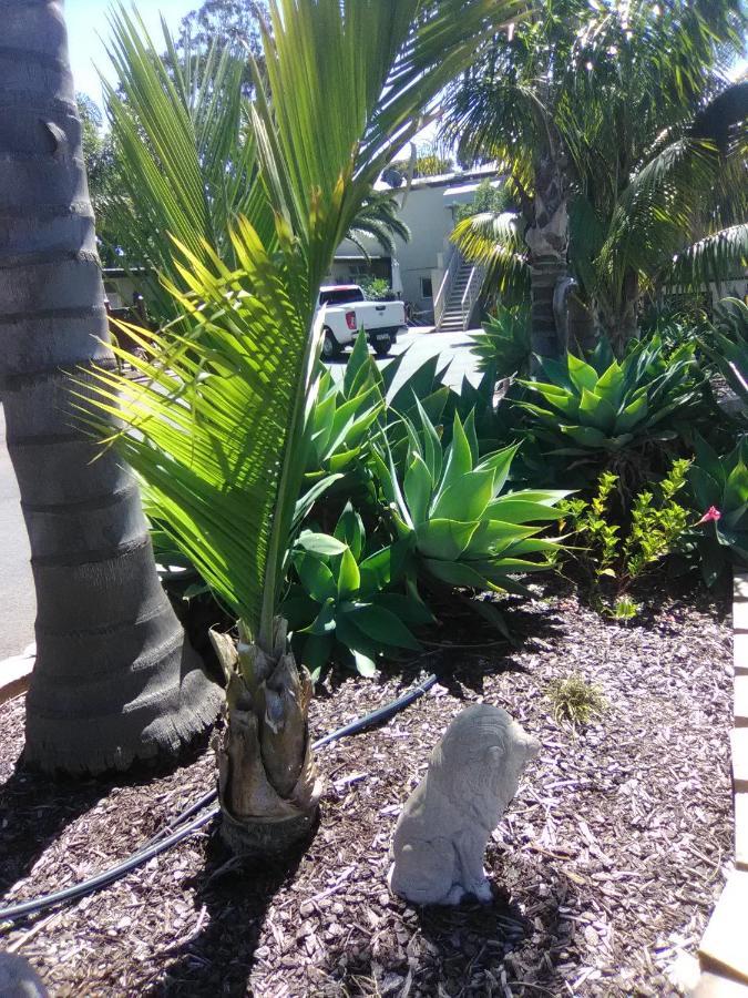 Seahorse Motel Cowes Bagian luar foto